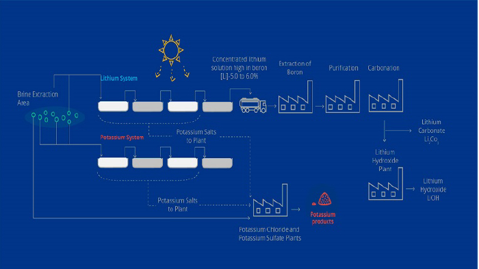 资料来源：SQM公告、中金公司研究部