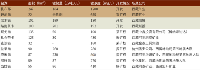 资料来源：中国有色金属行业协会锂业分会、中金公司研究部