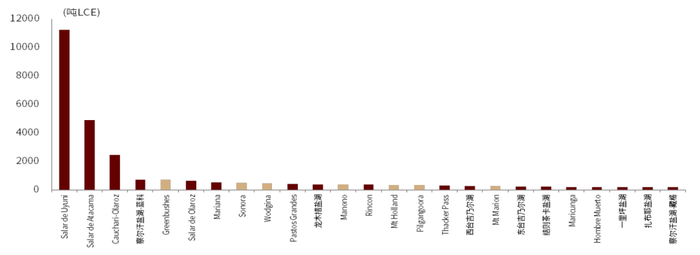 资料来源：各公司公告、公司官网、中金公司研究部