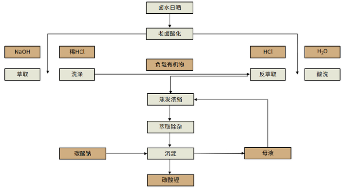 资料来源：李增荣《青海盐湖锂资源及提锂技术概述》（2017年）、中金公司研究部