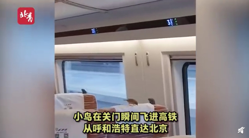 图片来源：清流视频截图