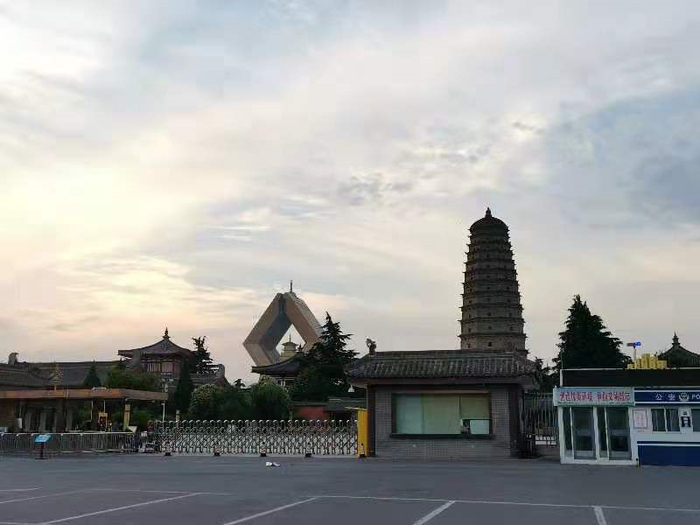 图片来源〡粉巷君 摄