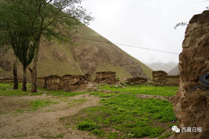 图为阿拉叫依卡子驿站遗址。记者 张宇 摄