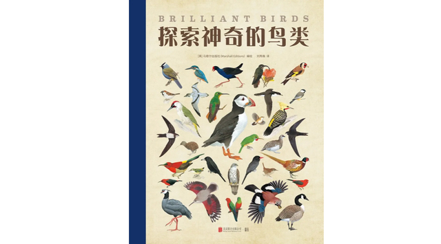 《探索神奇的鸟类》，编绘：（英）马歇尔出版社，译者：刘秀嶶，版本：低音丨北京联合出版有限公司 2019年8月。本文插图均出自这本书中。