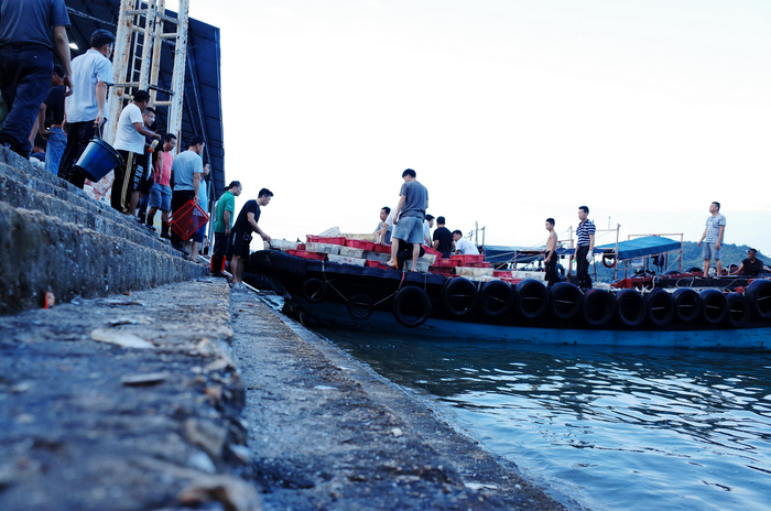 渔民说夜里捕鱼，是因为水温低，鱼有进食欲望，所以送上岸的时候也刚好是凌晨 &nbsp;时代周报记者黎广/摄