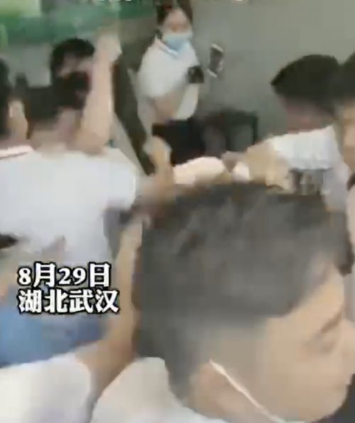 （图片来自视频截图）