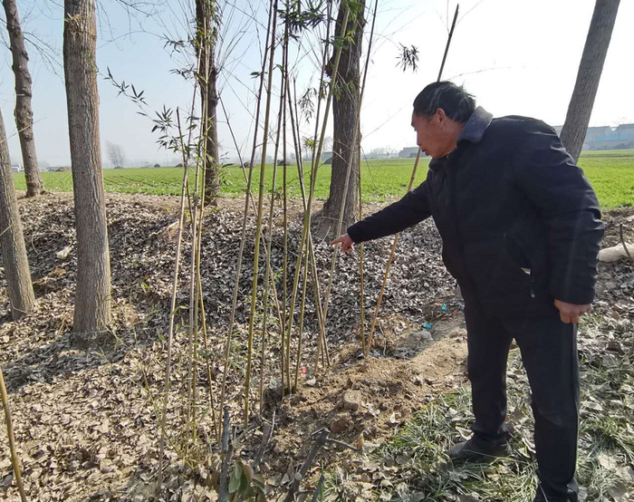  ▲张士敬指着其子当年尸体躺卧的地点