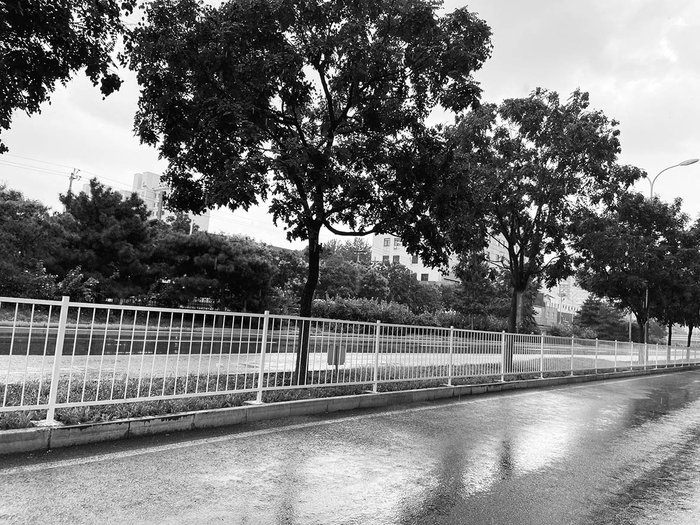  并无任何实际作用的绿化隔离带护栏 奚冬琪 毛立军 摄