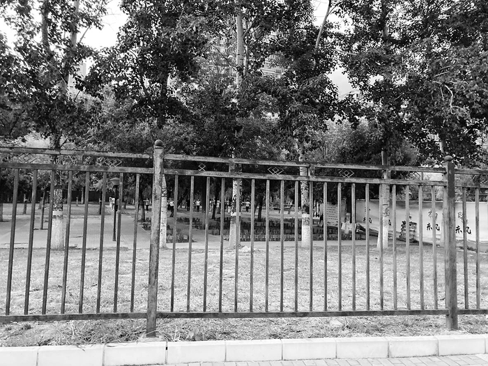  并无任何实际作用的绿化隔离带护栏 奚冬琪 毛立军 摄