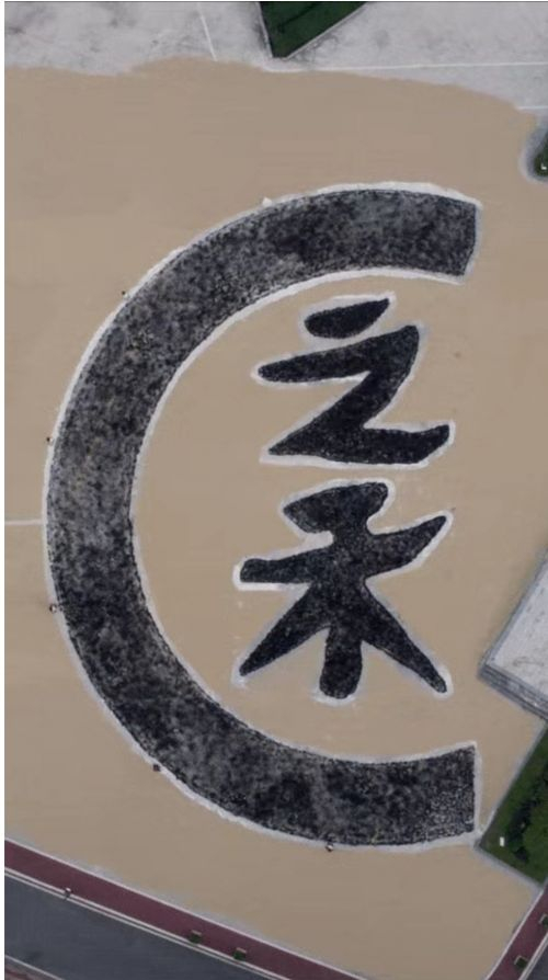 图片提供：ICICLE之禾