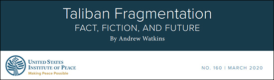 “美国和平研究所”报告：“塔利班瓦解：事实、虚构与未来”