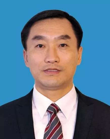 林涛，图源：南京市秦淮区人民政府