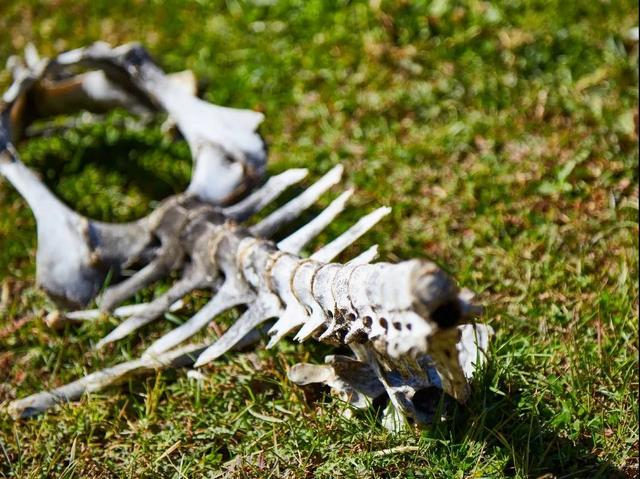 图源千图网授权