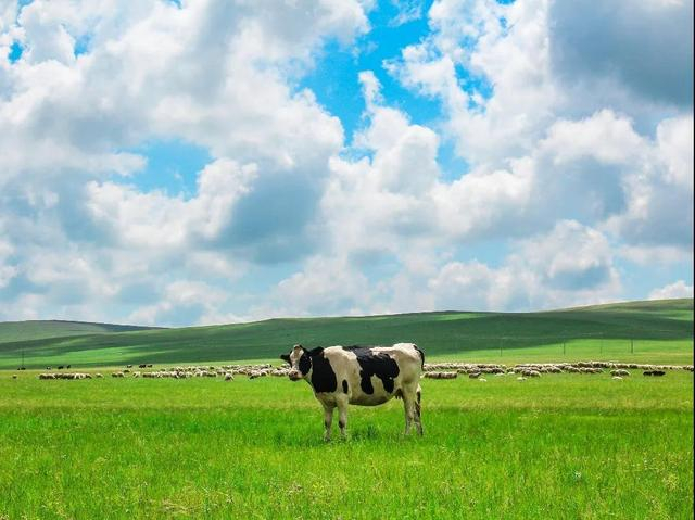 图源千图网授权