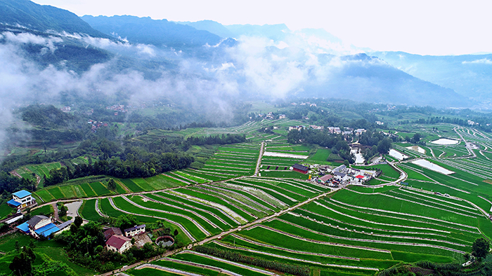 胡家鸭池粮油现代农业园区 王利 摄