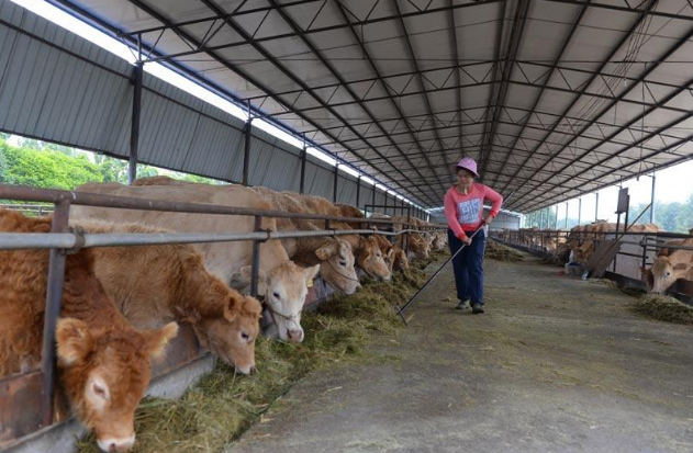 资料图，图源：中国政府网