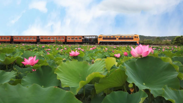 云南发展和改革委员会 供图