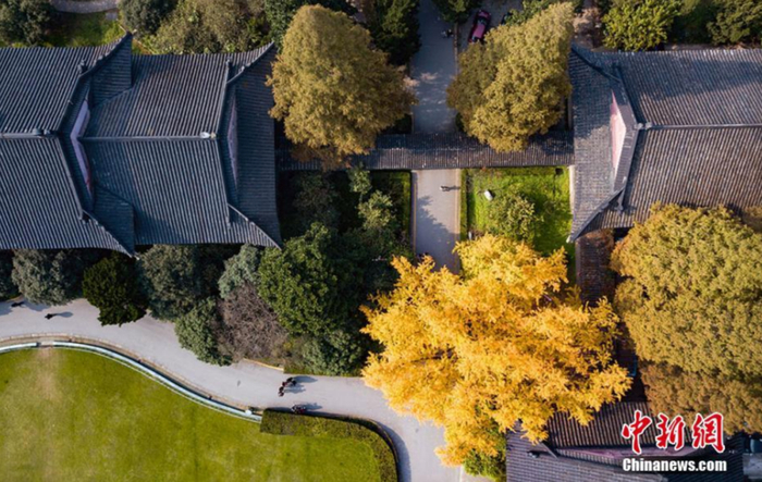 航拍南京师范大学随园校区。泱波 摄