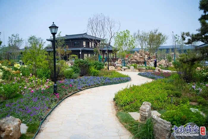 雄安郊野公园景观。中国雄安官网刘东尧 摄