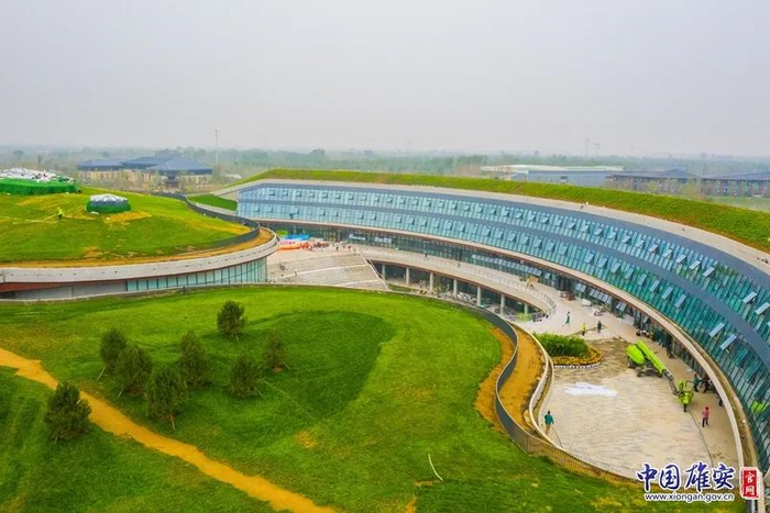 雄安郊野公园局部航拍图。于浩 摄