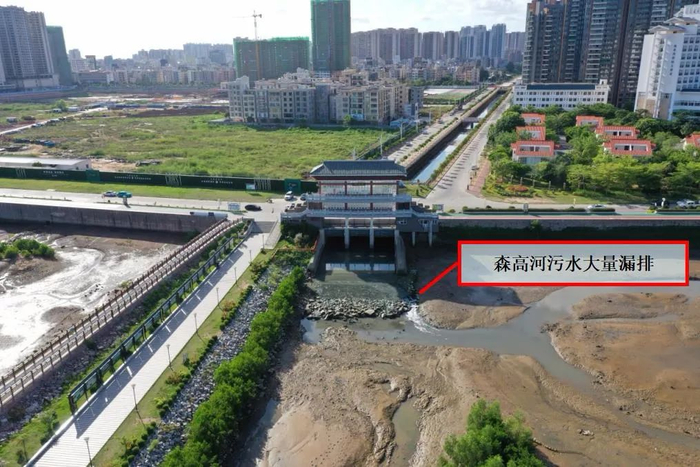 图4 &nbsp;因污水管网破损，本已截污断流的电白区森高河内积存大量生活污水并直排进入水东湾