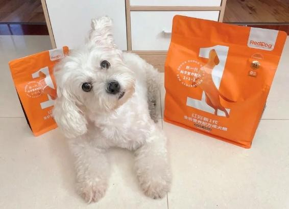 vivi期待到耳朵起飞