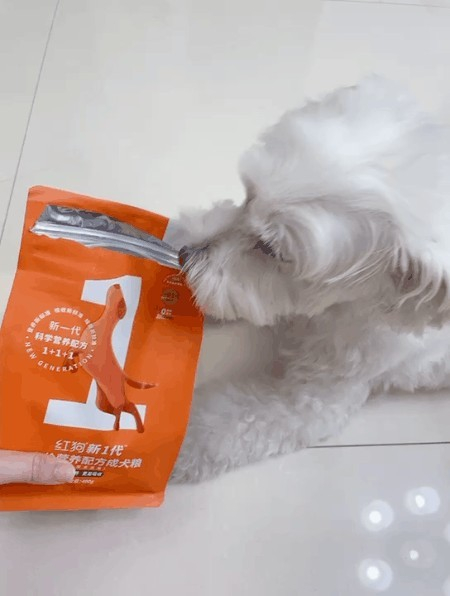 vivi激动到差点钻进袋子去