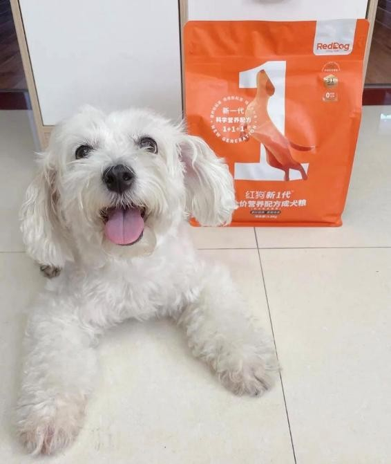 vivi：狗狗试过都说好！