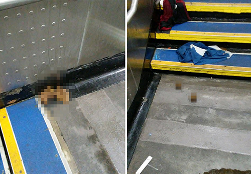 萨默塞特车站到处都是粪便、吸毒用具、针头&nbsp; 图源：社交媒体