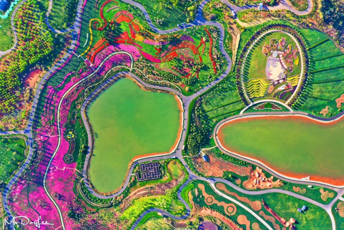 云南省发展和改革委员会 供图