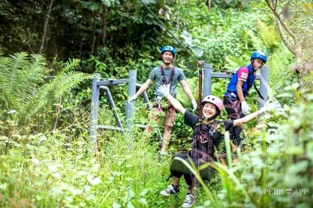 普洱市文化和旅游局 供图