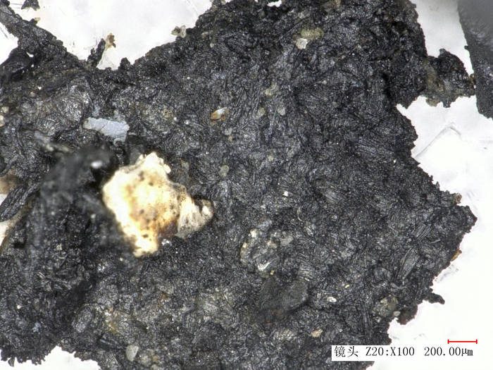 灰烬中发现的丝绸。