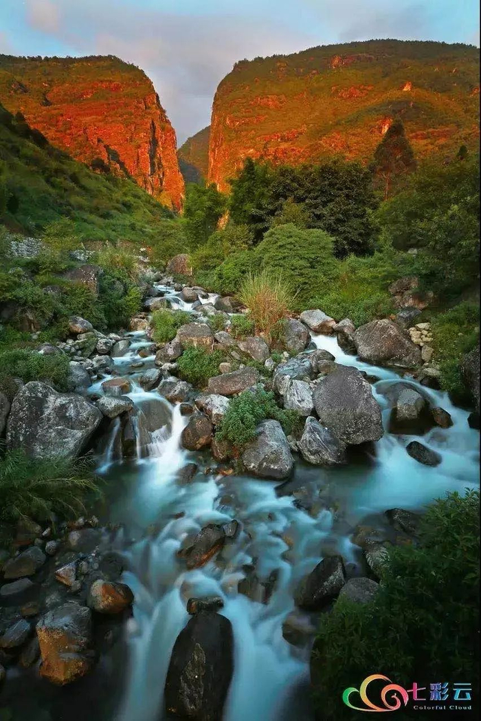 图源：云南广播电视台