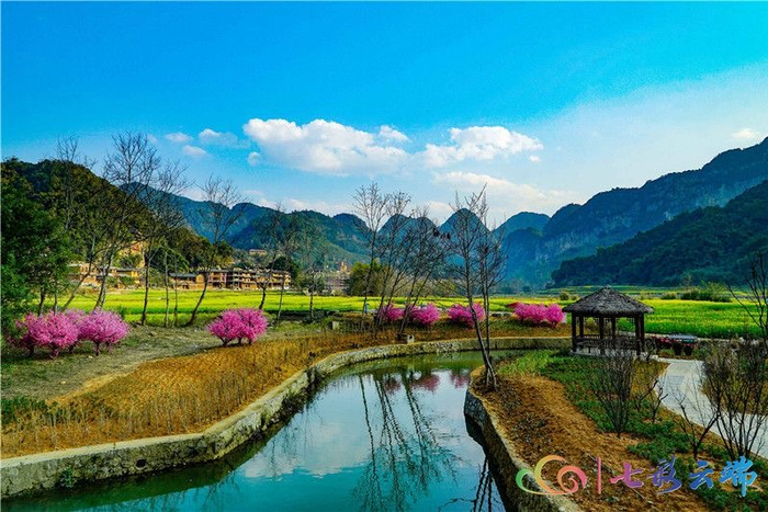 图源：云南广播电视台