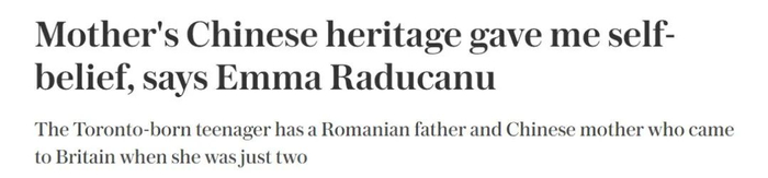 《每日电讯报》报道截图