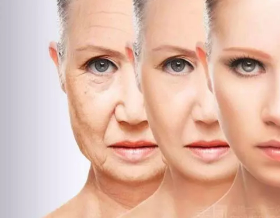 图片源于网络  图文无关