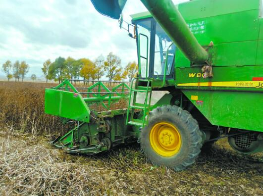 机械化收割。滕长才 摄