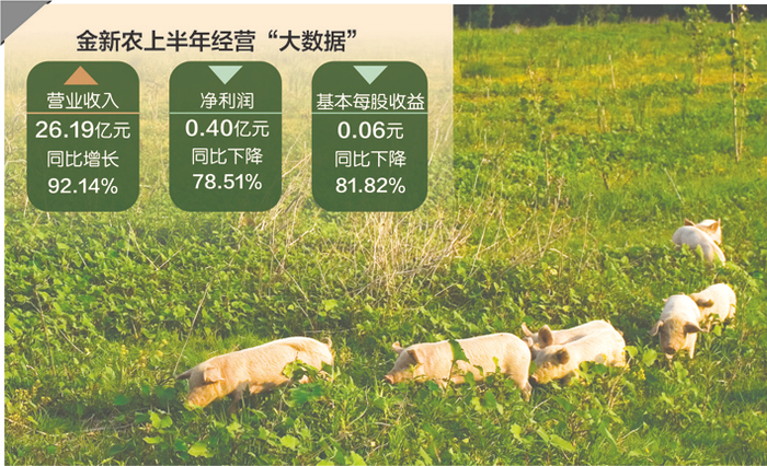 数据来源：公司半年报 视觉中国图 刘红梅制图