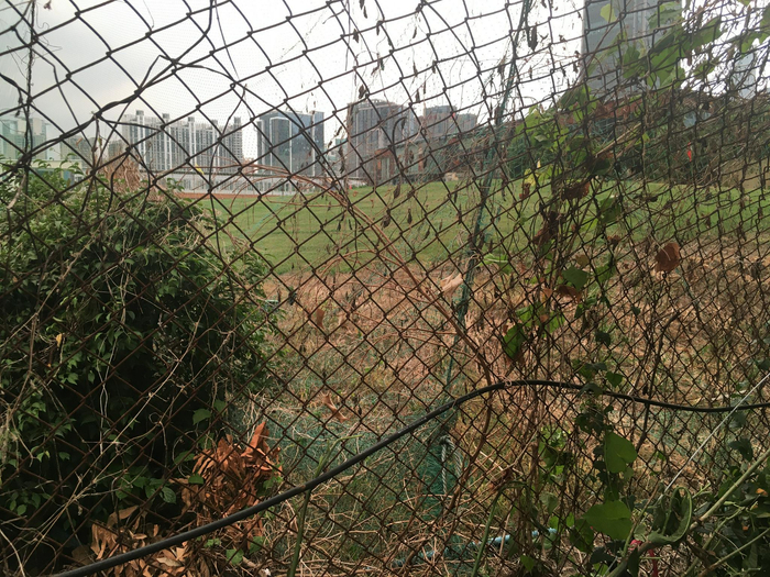 （时代周报记者摄）