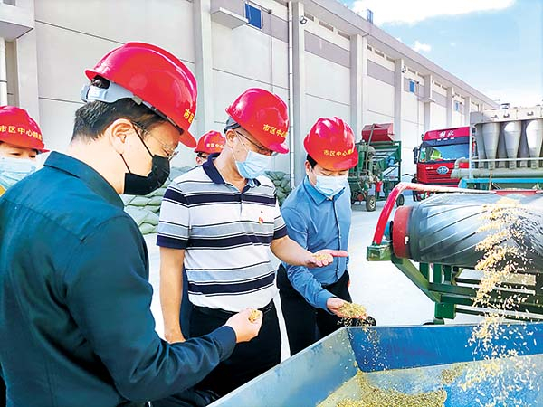福建省泉州市纪检监察干部到市区中心粮库实地查访粮食储存和购销情况。杨一鸣 摄