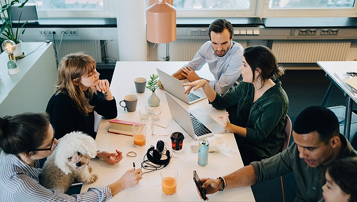 图片来源：视觉中国