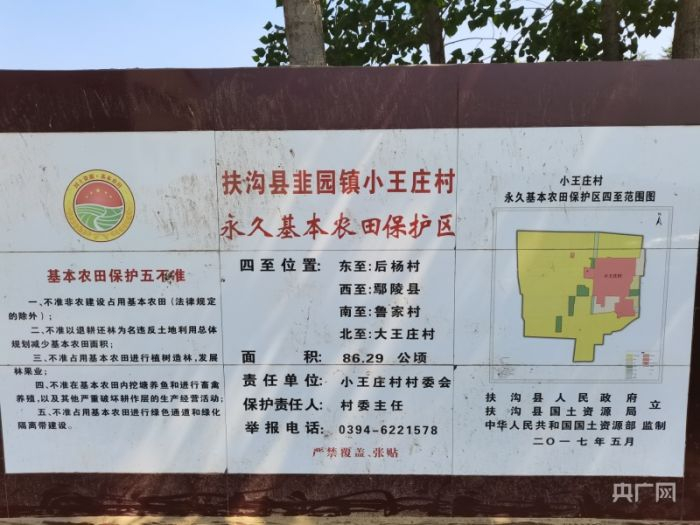 “扶沟县韭园镇小王庄村永久基本农田保护区”标志牌（央广网记者 汪宁 摄）