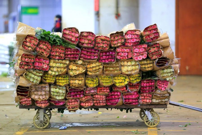 昆明斗南花卉市场，等待交易的一整车玫瑰（摄于2019年3月1日）。丁凝 摄