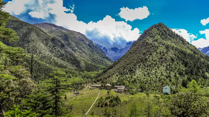白马雪山国家级自然保护区原始森林 曾智慧 摄