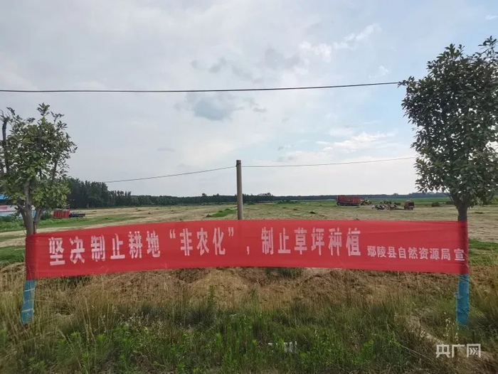 悬挂在草皮种植基地旁边的宣传条幅（央广网记者 汪宁 摄）