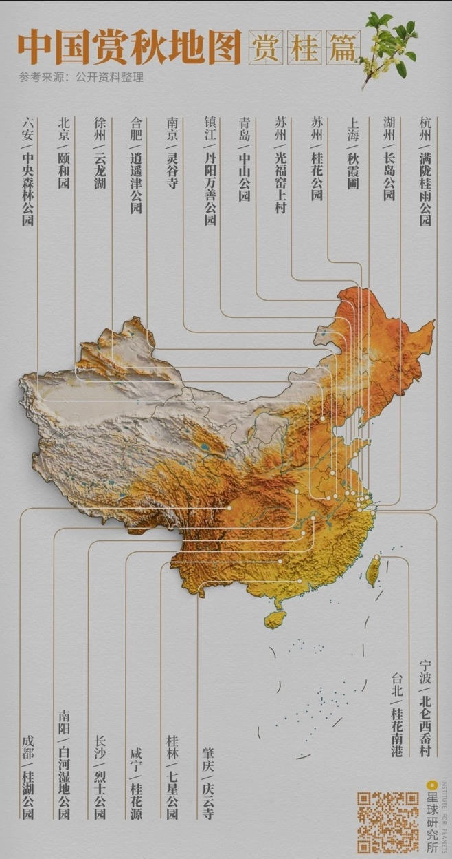 中国赏秋地图|赏桂篇，制图@郑艺&郑伯容