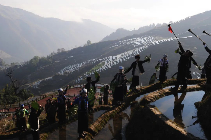 梯田纵歌 玉溪市委宣传部 供图