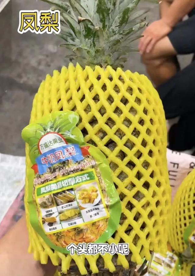 图视频@上海生活指南