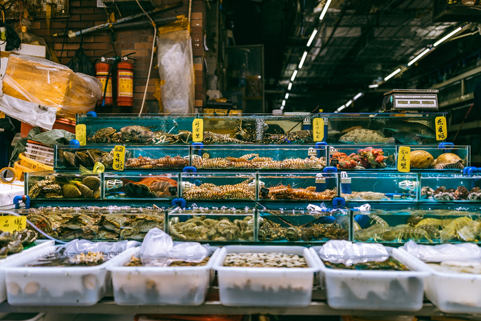 广州菜市场卖的都是生猛海鲜 &nbsp;图源：视觉中国&nbsp;