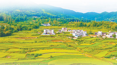 江西赣州市章贡区沙河镇龙村风光。　　胡江涛摄（人民视觉）
